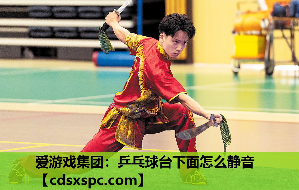 爱游戏集团：乒乓球台下面怎么静音
