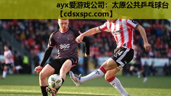ayx爱游戏公司：太原公共乒乓球台
