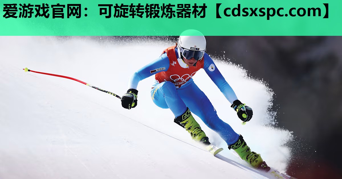 爱游戏官网：可旋转锻炼器材