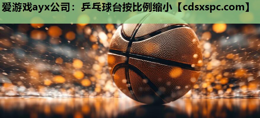 爱游戏ayx公司：乒乓球台按比例缩小