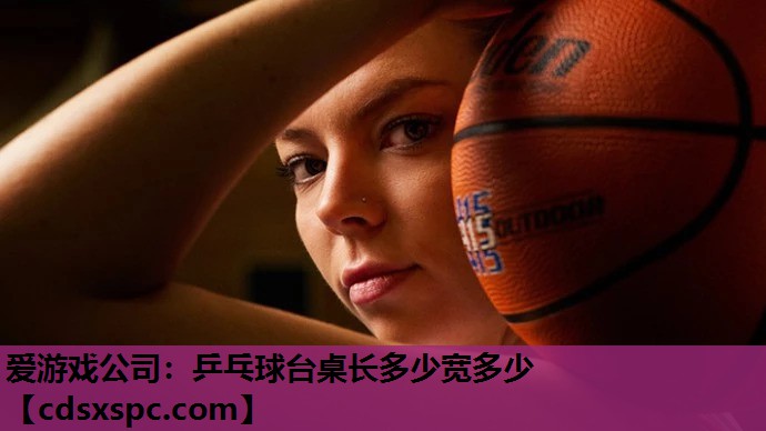 爱游戏公司：乒乓球台桌长多少宽多少