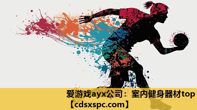 爱游戏ayx公司：室内健身器材top