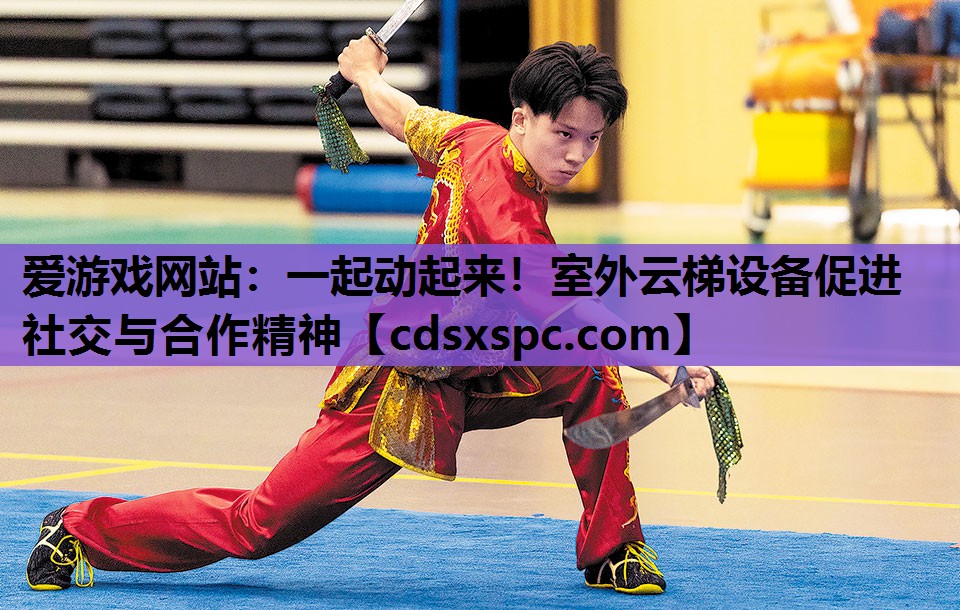 爱游戏网站：一起动起来！室外云梯设备促进社交与合作精神