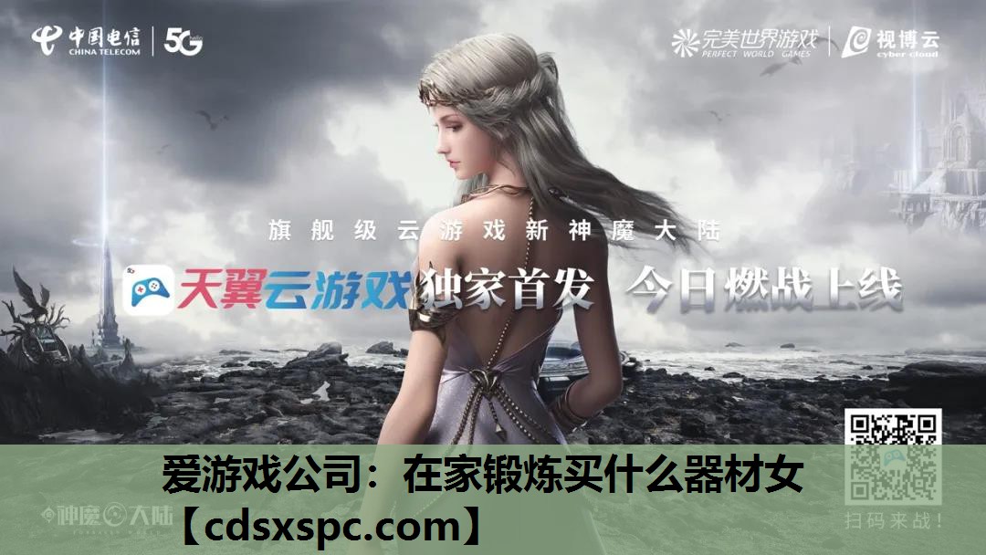 爱游戏公司：在家锻炼买什么器材女