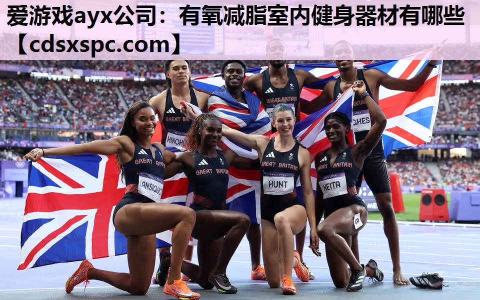 爱游戏ayx公司：有氧减脂室内健身器材有哪些