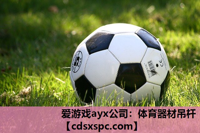 爱游戏ayx公司：体育器材吊杆