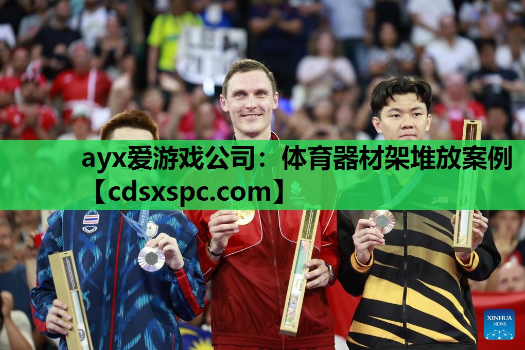 ayx爱游戏公司：体育器材架堆放案例