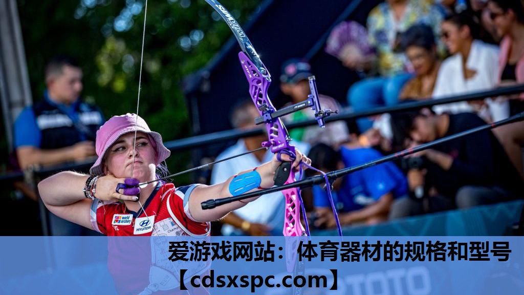 爱游戏网站：体育器材的规格和型号