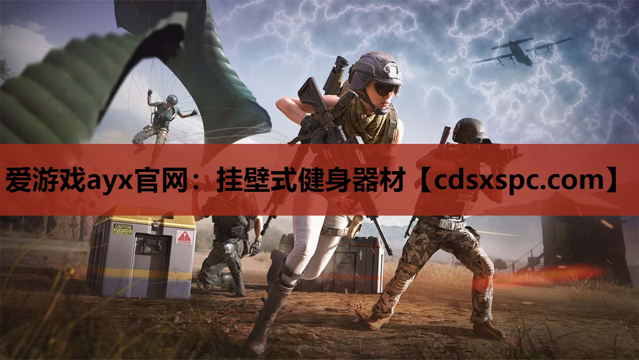 爱游戏ayx官网：挂壁式健身器材