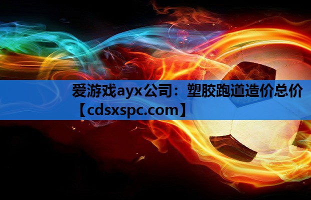 爱游戏ayx公司：塑胶跑道造价总价