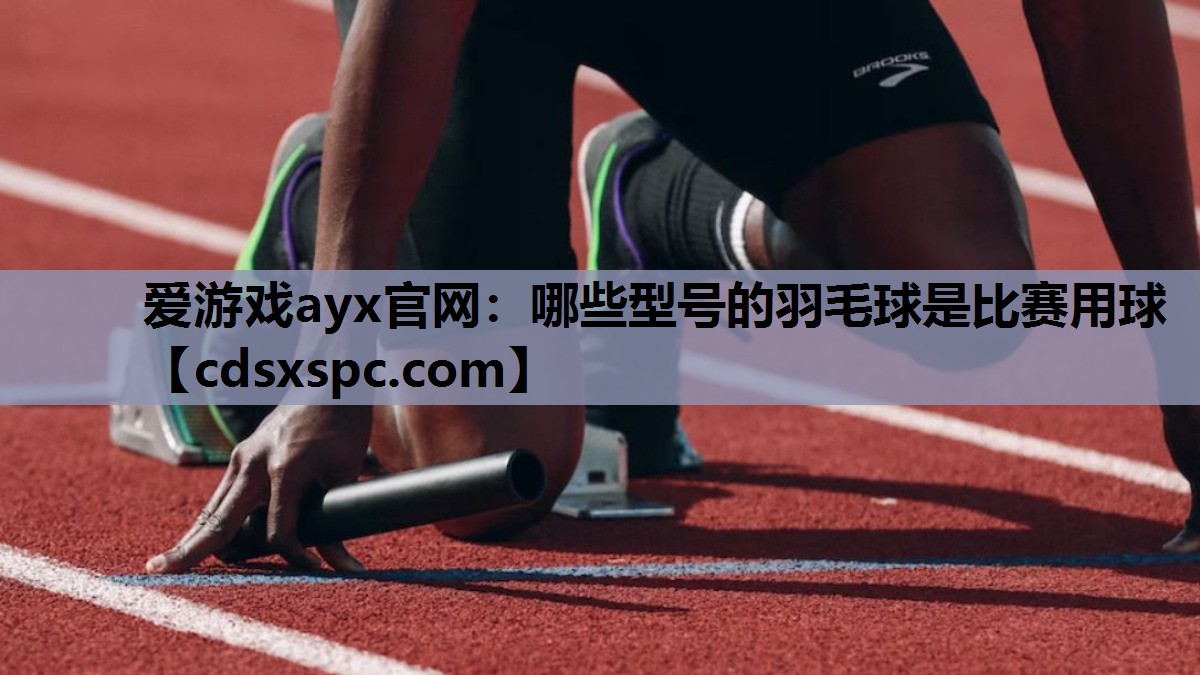 爱游戏ayx官网：哪些型号的羽毛球是比赛用球