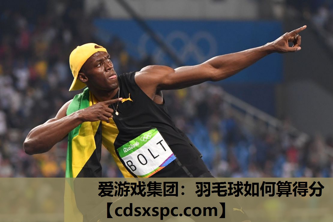 爱游戏集团：羽毛球如何算得分
