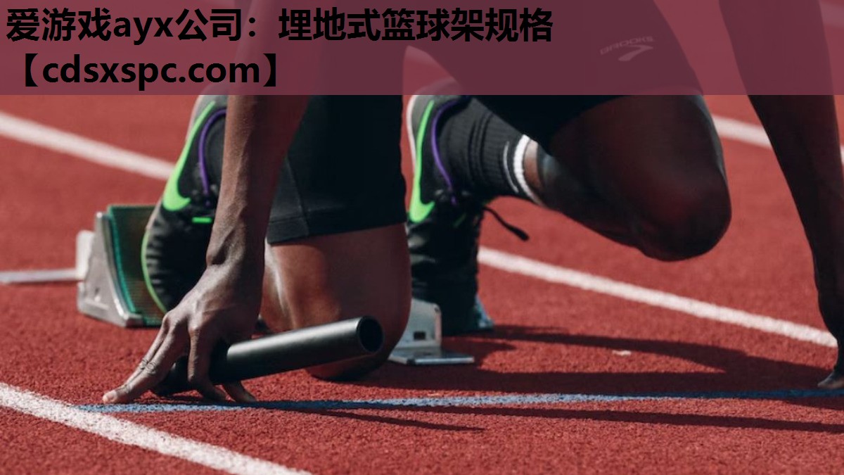 爱游戏ayx公司：埋地式篮球架规格