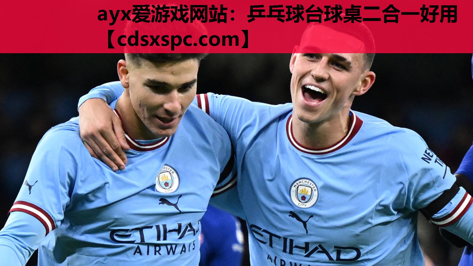 ayx爱游戏网站：乒乓球台球桌二合一好用