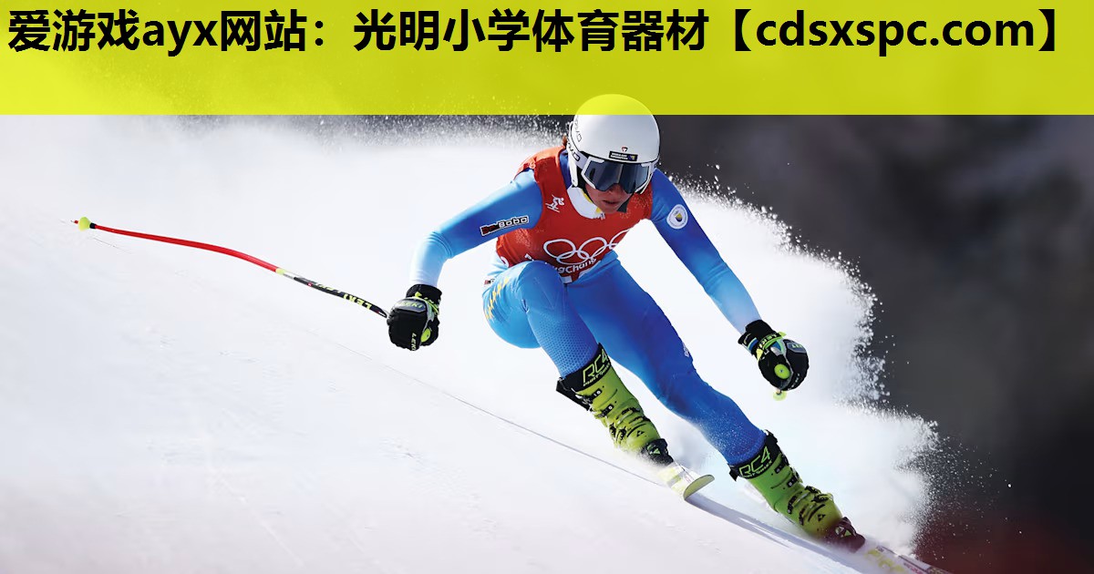 爱游戏ayx网站：光明小学体育器材