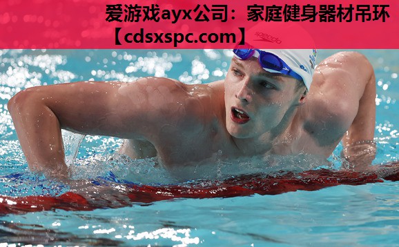 爱游戏ayx公司：家庭健身器材吊环