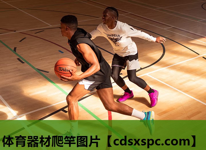 体育器材爬竿图片