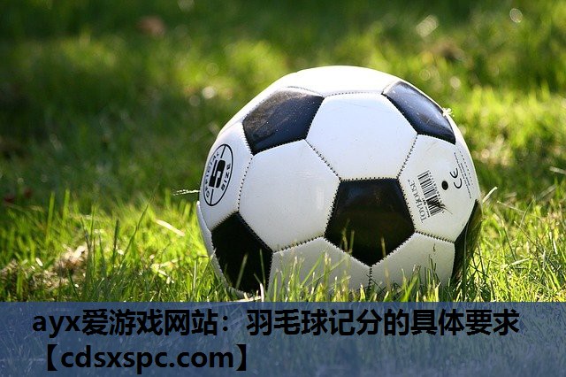 ayx爱游戏网站：羽毛球记分的具体要求