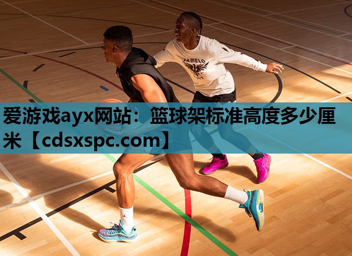 爱游戏ayx网站：篮球架标准高度多少厘米