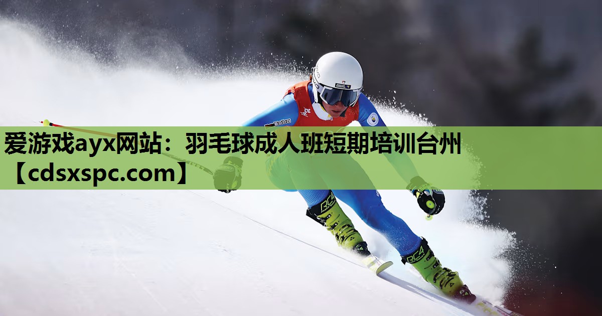爱游戏ayx网站：羽毛球成人班短期培训台州