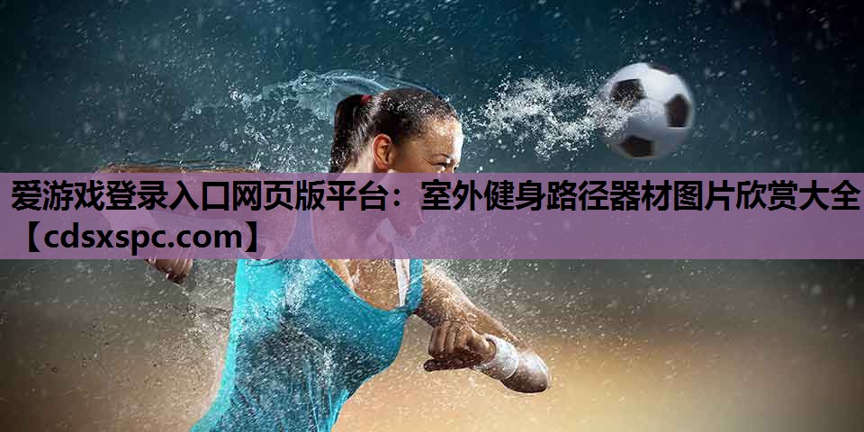 爱游戏登录入口网页版平台：室外健身路径器材图片欣赏大全