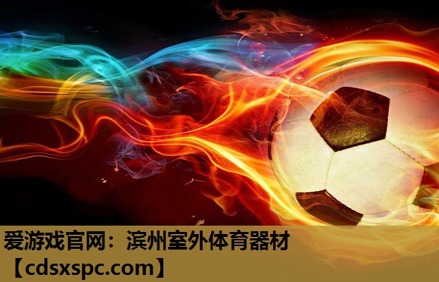爱游戏官网：滨州室外体育器材