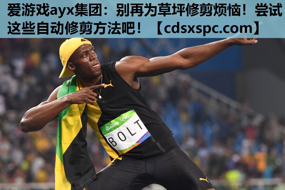 爱游戏ayx集团：别再为草坪修剪烦恼！尝试这些自动修剪方法吧！