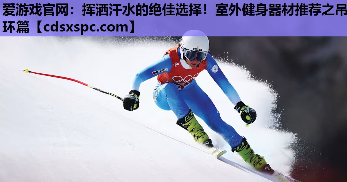 爱游戏官网：挥洒汗水的绝佳选择！室外健身器材推荐之吊环篇