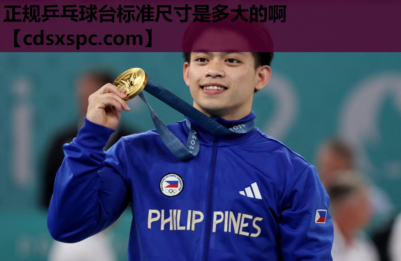 正规乒乓球台标准尺寸是多大的啊