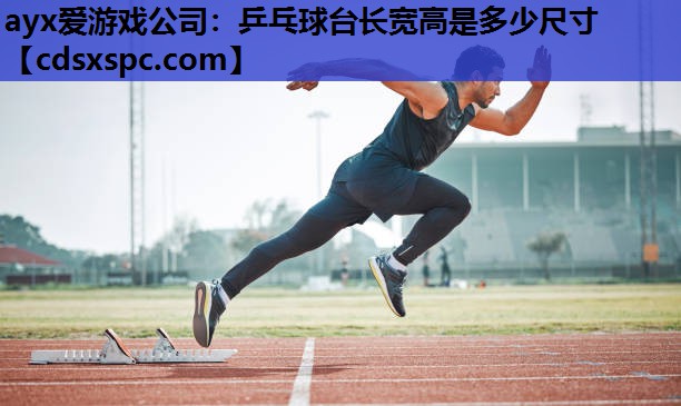 ayx爱游戏公司：乒乓球台长宽高是多少尺寸