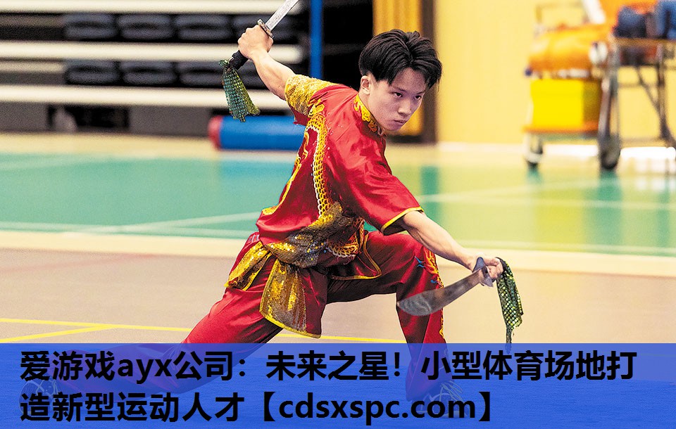 爱游戏ayx公司：未来之星！小型体育场地打造新型运动人才