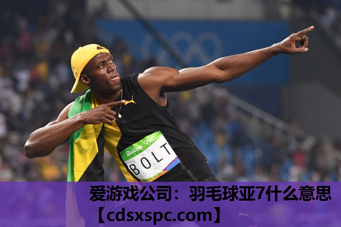 爱游戏公司：羽毛球亚7什么意思