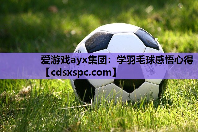 爱游戏ayx集团：学羽毛球感悟心得