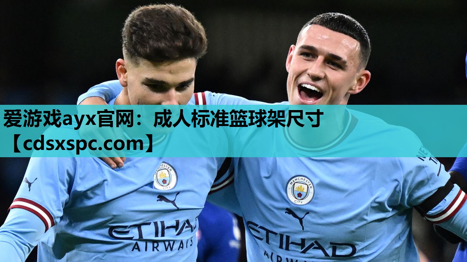 爱游戏ayx官网：成人标准篮球架尺寸
