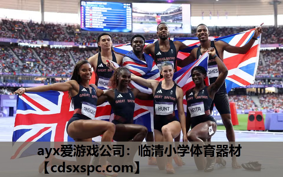ayx爱游戏公司：临清小学体育器材