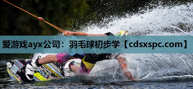 爱游戏ayx公司：羽毛球初步学