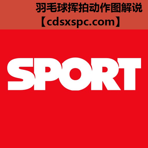 羽毛球挥拍动作图解说
