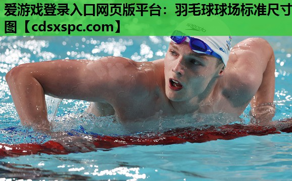 爱游戏登录入口网页版平台：羽毛球球场标准尺寸图