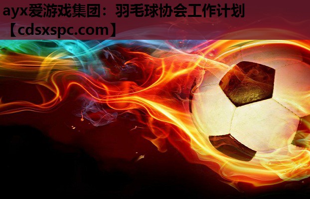 ayx爱游戏集团：羽毛球协会工作计划