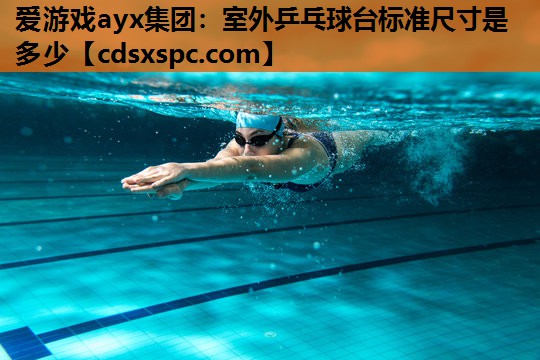爱游戏ayx集团：室外乒乓球台标准尺寸是多少
