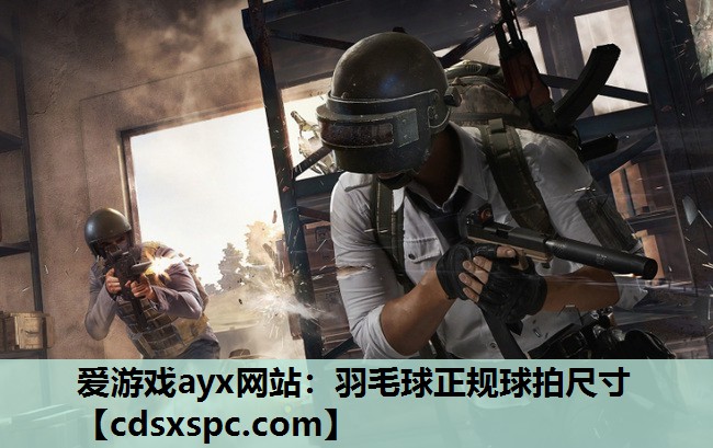 爱游戏ayx网站：羽毛球正规球拍尺寸