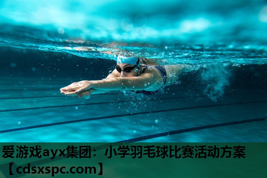爱游戏ayx集团：小学羽毛球比赛活动方案