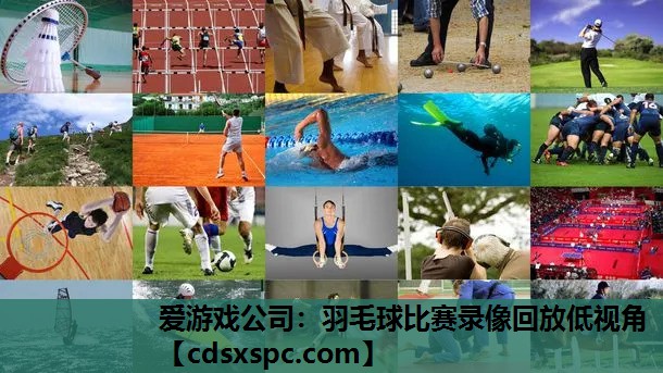 爱游戏公司：羽毛球比赛录像回放低视角