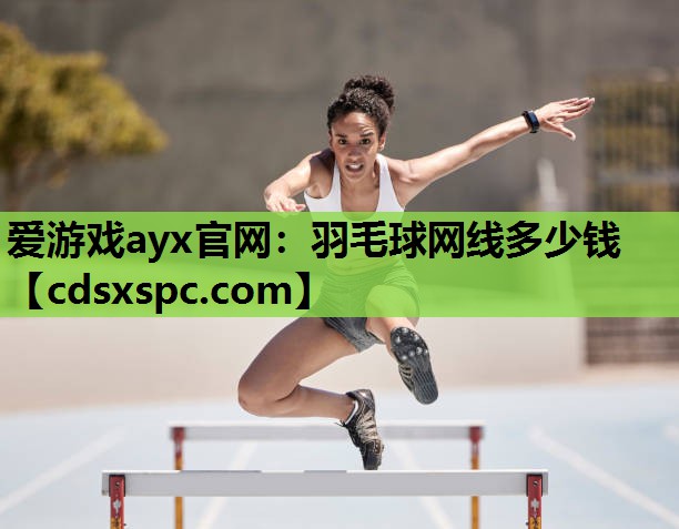 爱游戏ayx官网：羽毛球网线多少钱