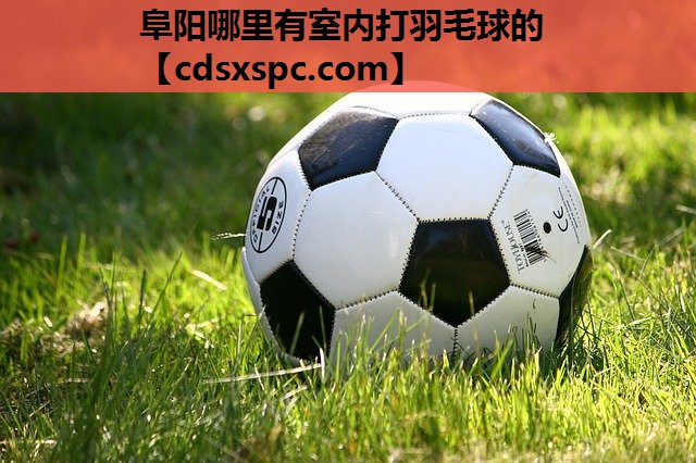阜阳哪里有室内打羽毛球的