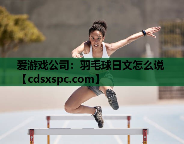爱游戏公司：羽毛球日文怎么说