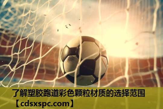 了解塑胶跑道彩色颗粒材质的选择范围