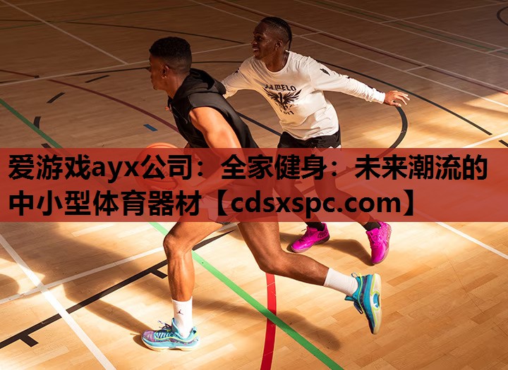 爱游戏ayx公司：全家健身：未来潮流的中小型体育器材