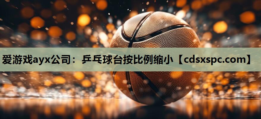乒乓球台按比例缩小