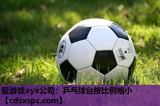 乒乓球台按比例缩小